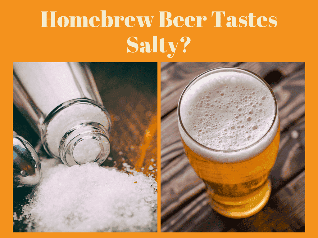 homebrew-beer-tastes-salty-5-top-things-to-check-or-change-now