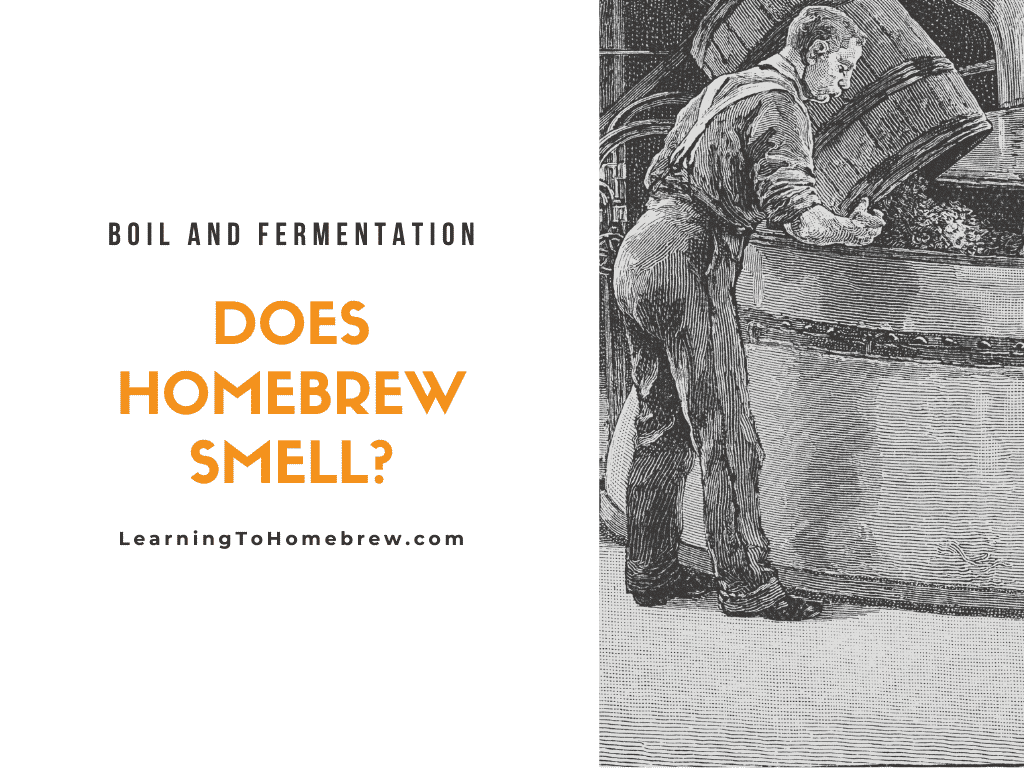 does homebrew smell fermentation boil
