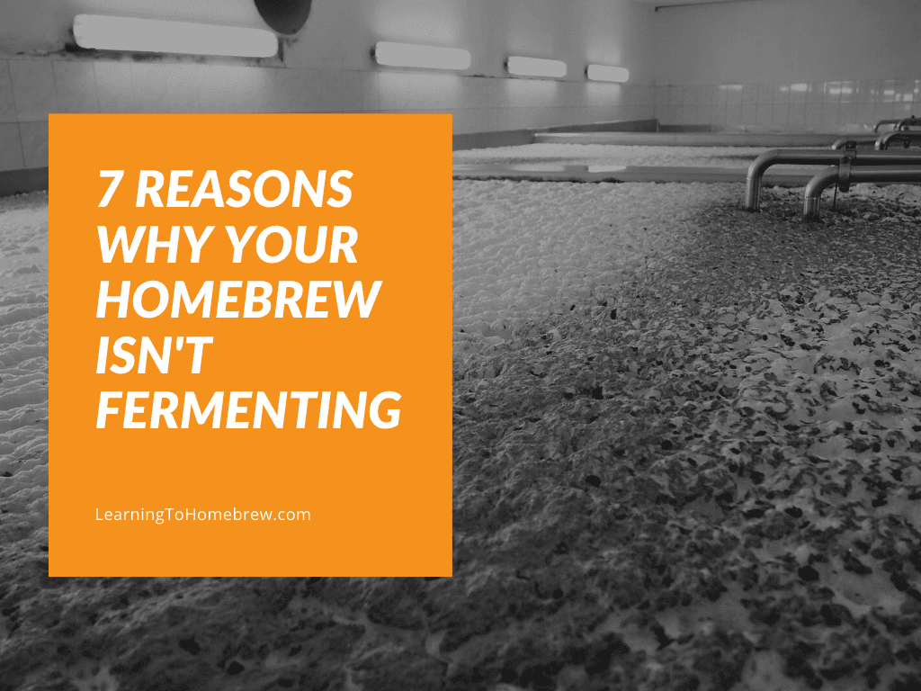 homebrew is not fermenting