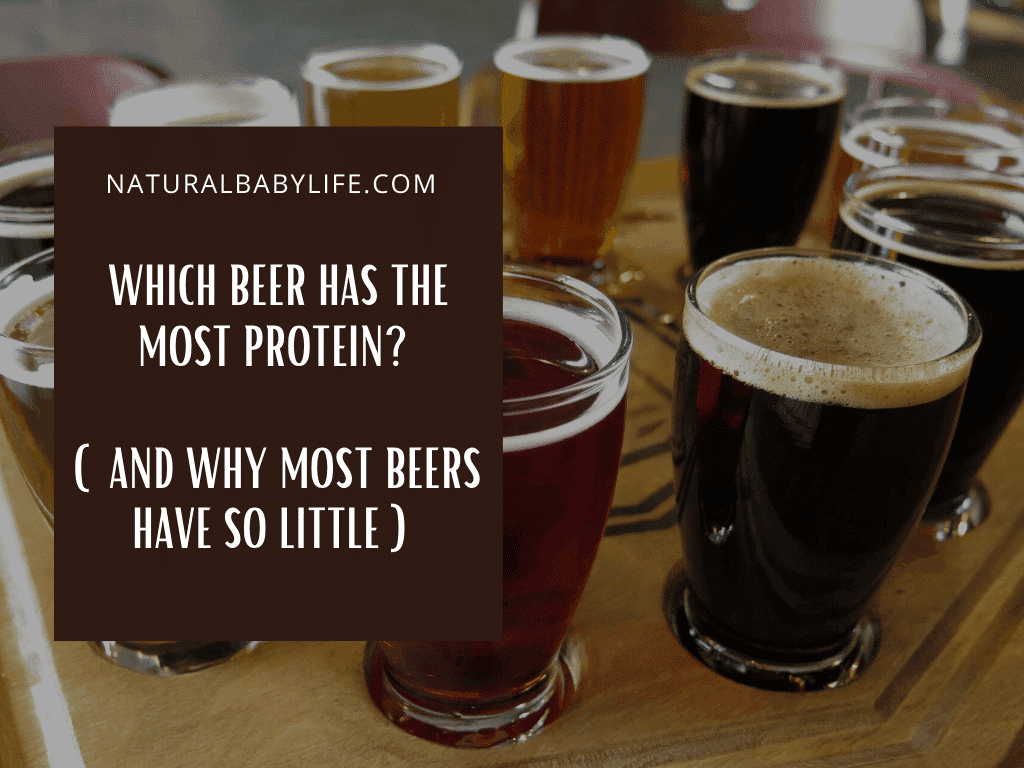 Which Beer Has The Most Protein? (Barbell Brew -The High Protein Beer)