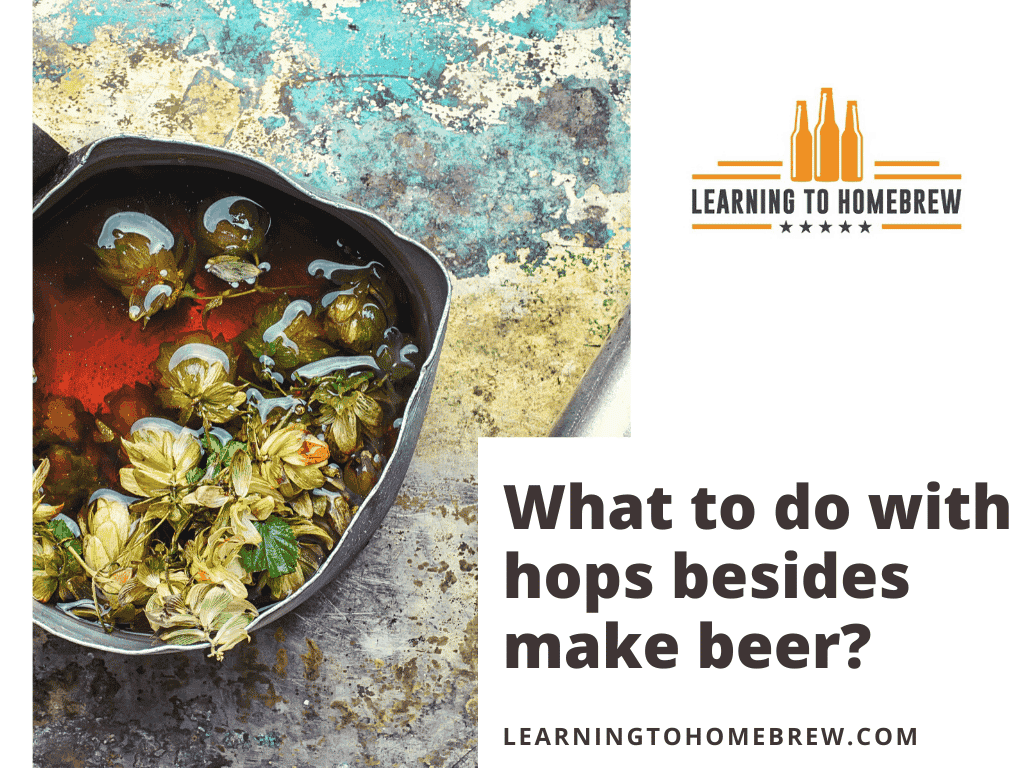 What To Do With Hops Besides Making Beer? (9 Fun Alternatives!)