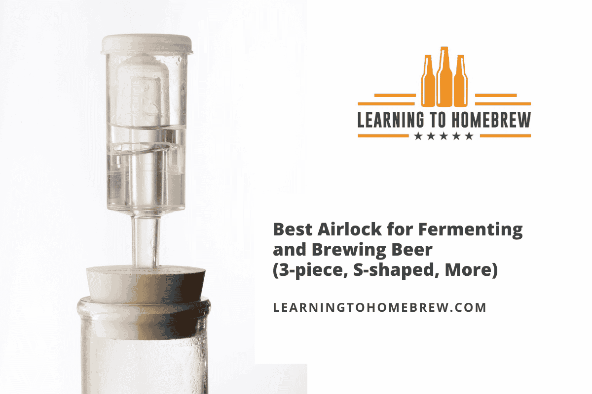 Best Airlock for Fermenting and Brewing Beer (3piece, Sshaped, More)