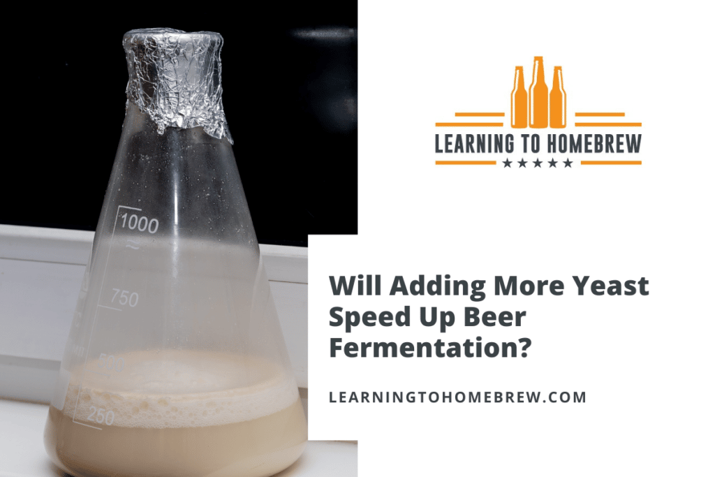 Will Adding More Yeast Speed Up Beer Fermentation?
