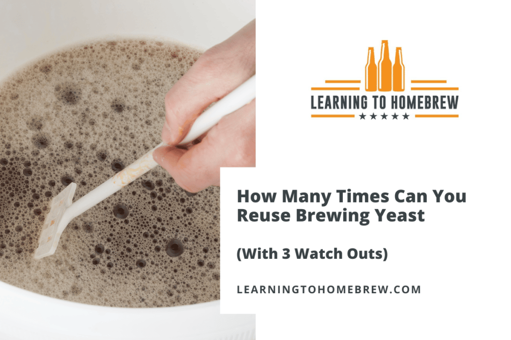 How Many Times Can You Reuse Brewing Yeast (With 3 Watch Outs)