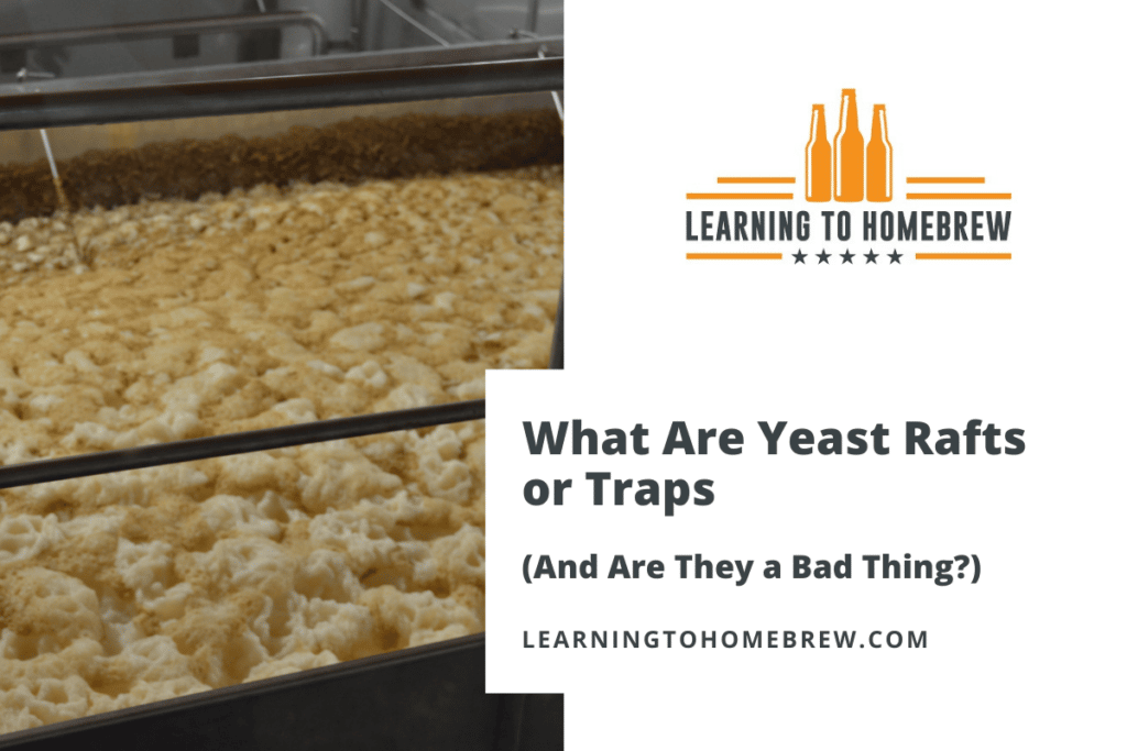 What Are Yeast Rafts or Traps (And Are They a Bad Thing?)