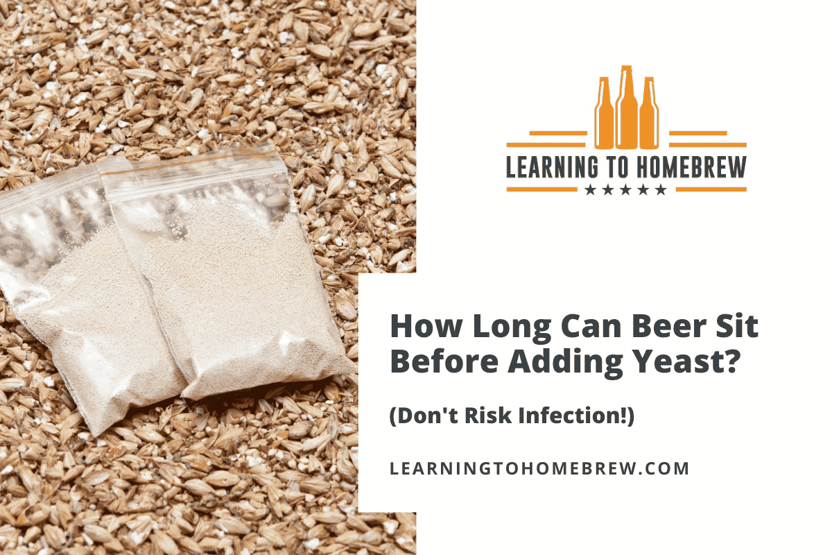 How Long Can Beer Sit Before Adding Yeast? (Don't Risk Infection!)