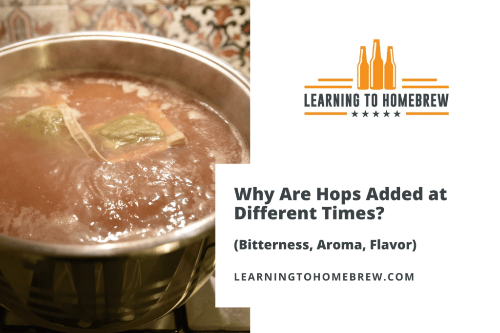 Why Are Hops Added at Different Times? (Bitterness, Aroma, Flavor)