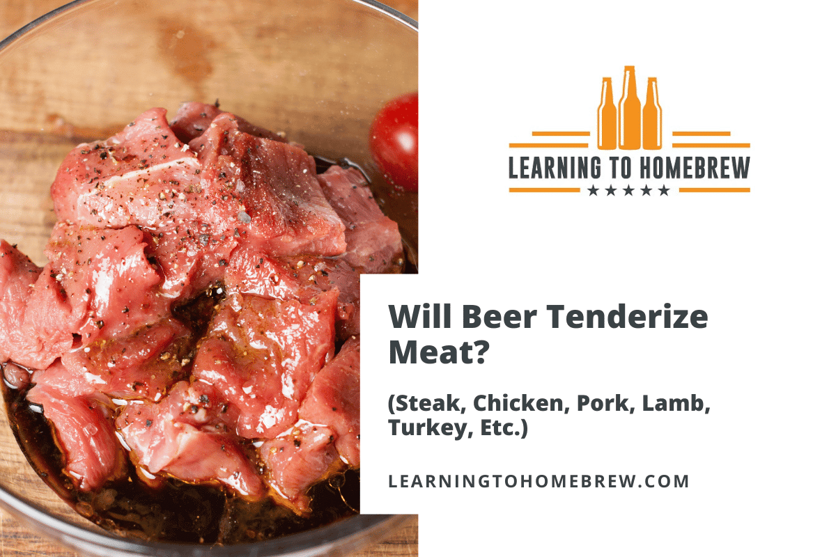 Will Beer Tenderize Meat? (Steak, Chicken, Pork, Lamb, Turkey, Etc.)