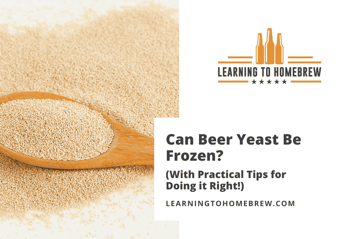 Can Beer Yeast Be Frozen? (With Practical Tips for Doing it Right!)