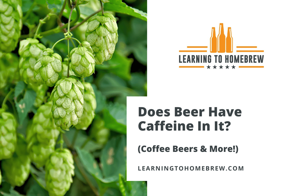 Does Beer Have Caffeine