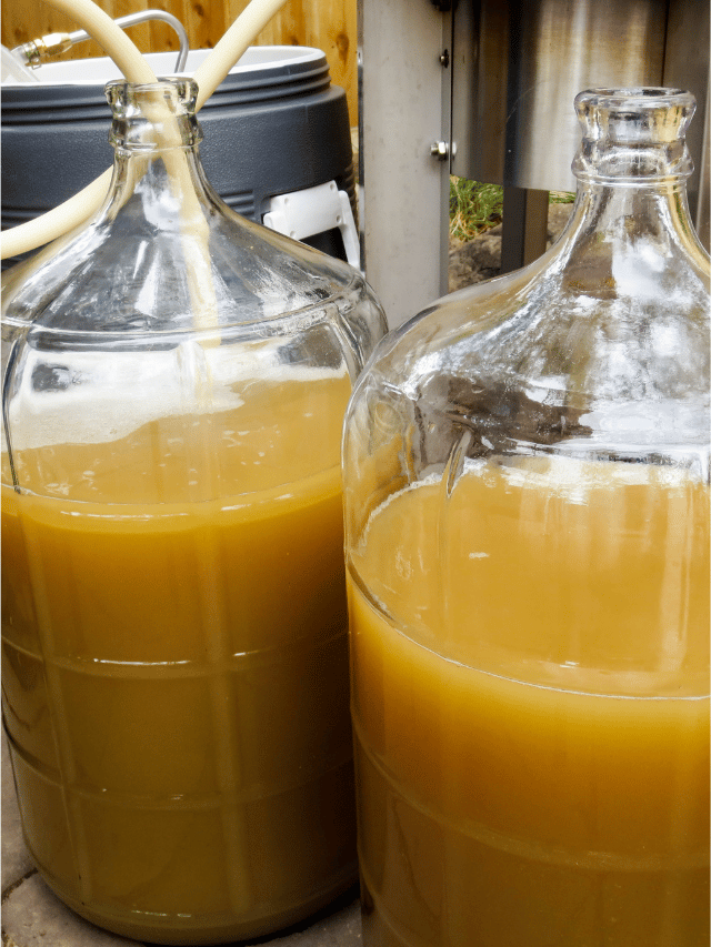 STOP Stirring the Fermenter After Pitching Yeast!
