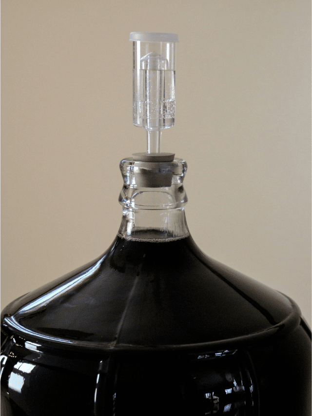 Should You Use a 3-piece or S-shaped Airlock for Fermenting Homebrew?