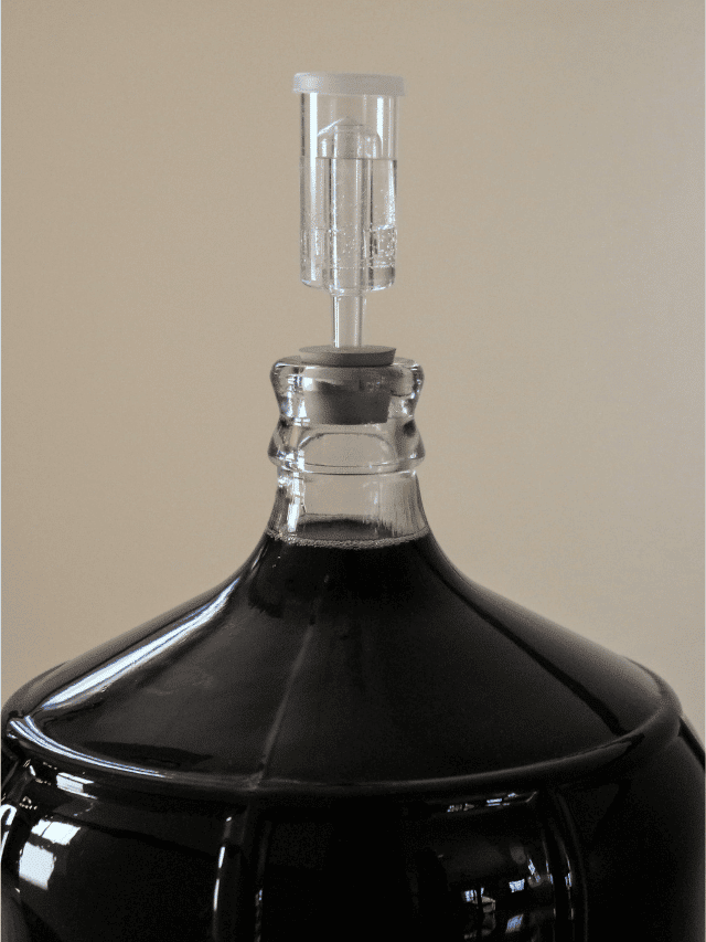 Should You Use a 3-piece or S-shaped Airlock for Fermenting Homebrew