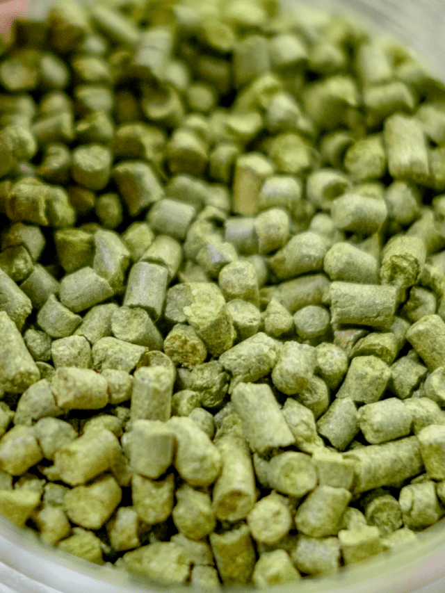 Whole Hops Vs Pellet Hops Conversion Calculator