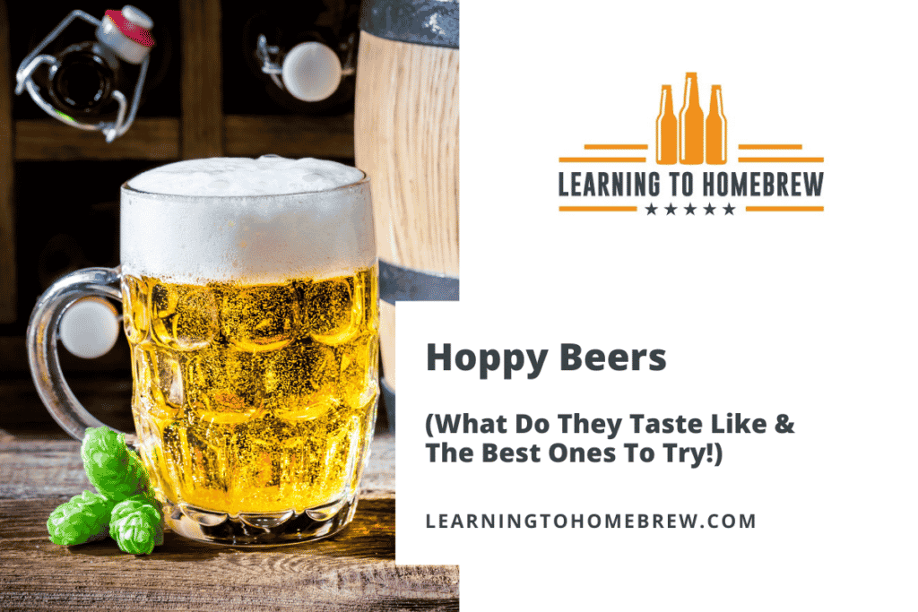 Hoppy Beers (What Do They Taste Like & The Best Ones To Try!)