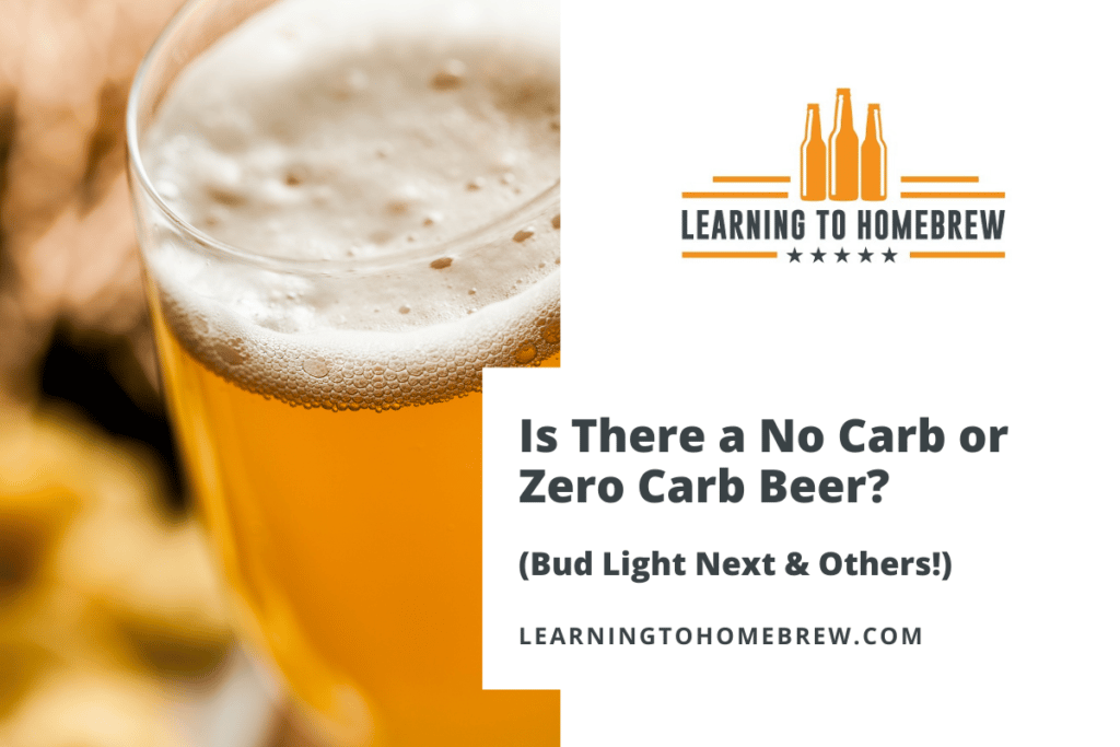 Is There a No-Carb or Zero-Carb Beer? (Bud Light Next & Others!)