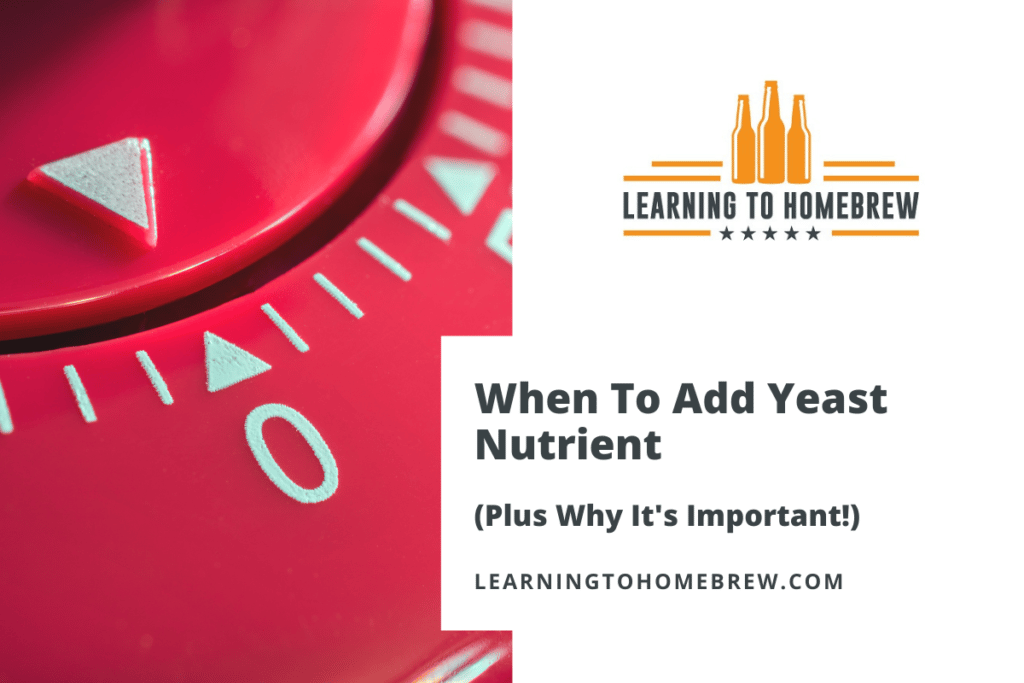 When To Add Yeast Nutrient (Plus Why It’s Important!)