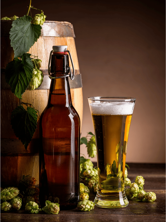 Does More Hops Mean More Alcohol in Beer?