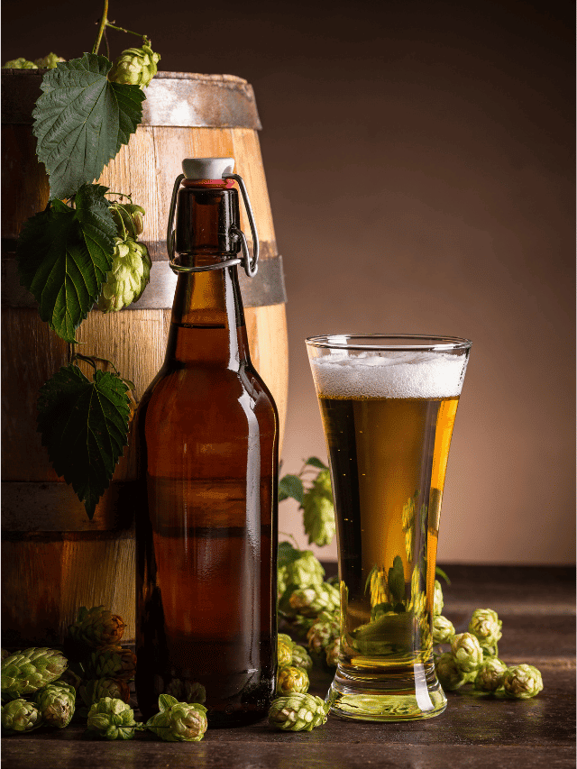 Does More Hops Mean More Alcohol in Beer