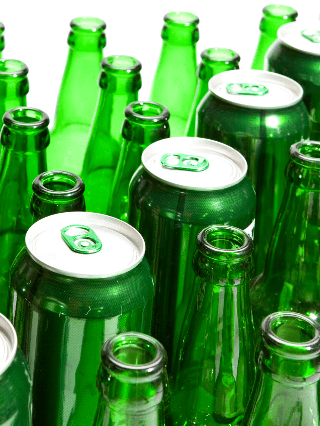 Beer Cans Vs Bottles (Taste, Price, Freshness, Portability, & More!)