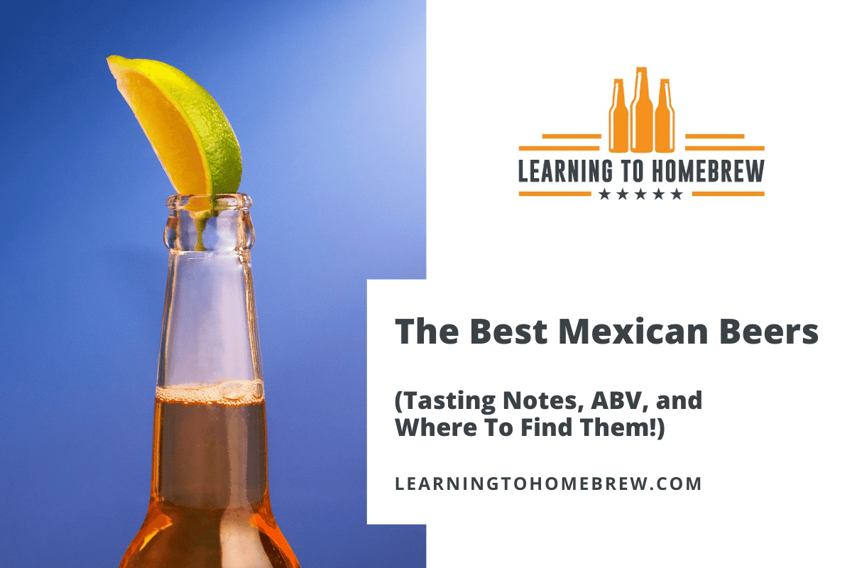 The Best Mexican Beers (Tasting Notes, ABV, and Where To Find Them!)