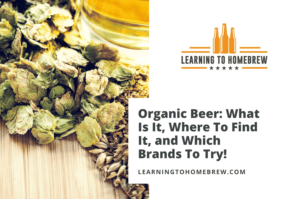 Organic Beer What Is It, Where To Find It, and Which Brands To Try!