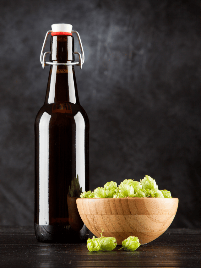 How Long Should You Dry Hop Beer?