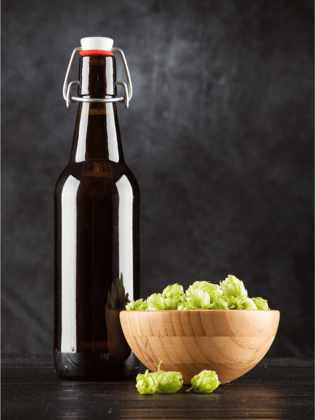 How Long Should You Dry Hop Beer