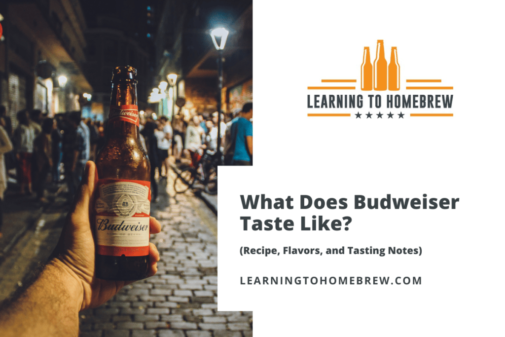 What Does Budweiser Taste Like? (Recipe, Flavors, and Tasting Notes)