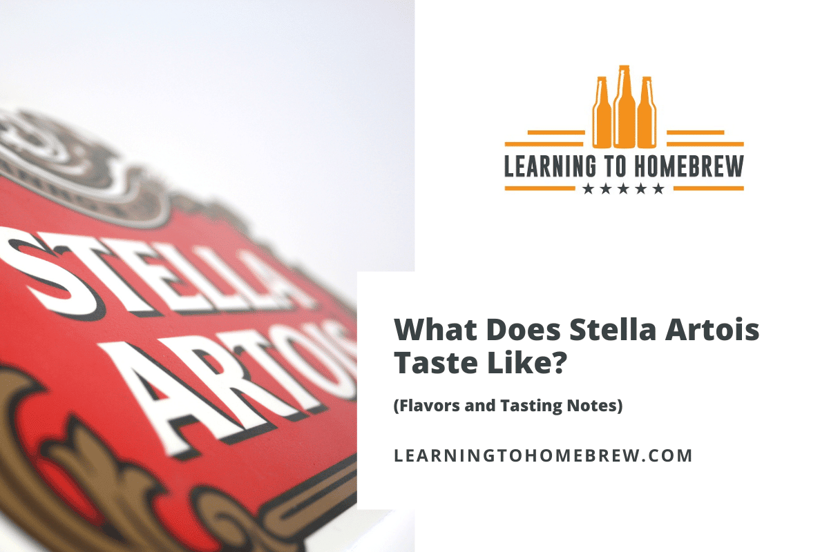 What Does Stella Artois Taste Like? (Flavors and Tasting Notes)