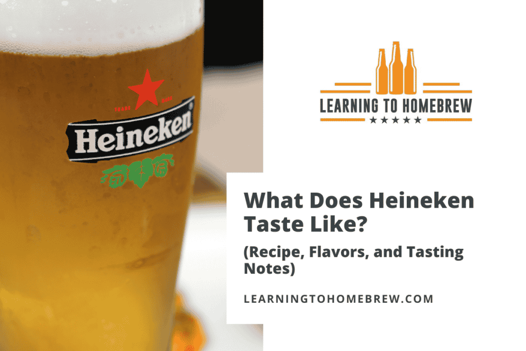 What Does Heineken Taste Like? (Recipe, Flavors, and Tasting Notes)