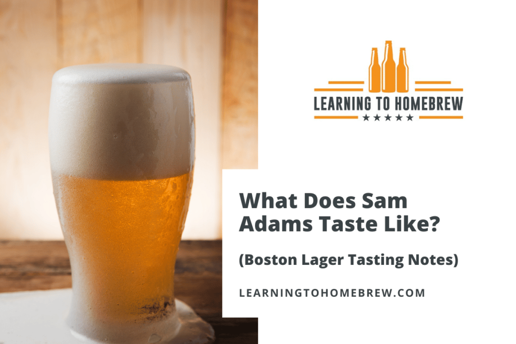 What Does Sam Adams Taste Like? (Boston Lager Tasting Notes)