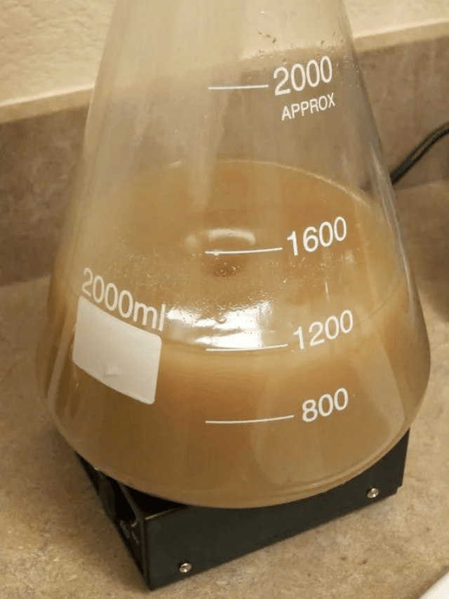 How To Make a Yeast Starter Without DME