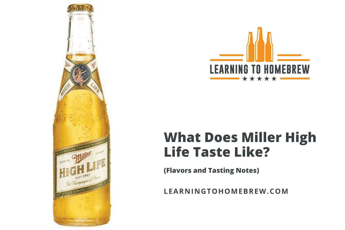what-does-miller-high-life-taste-like-flavors-and-tasting-notes