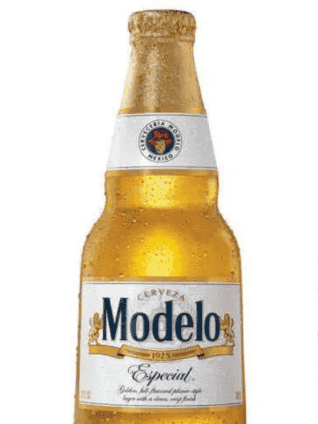 What Does Modelo Taste Like? (Flavors and Tasting Notes)