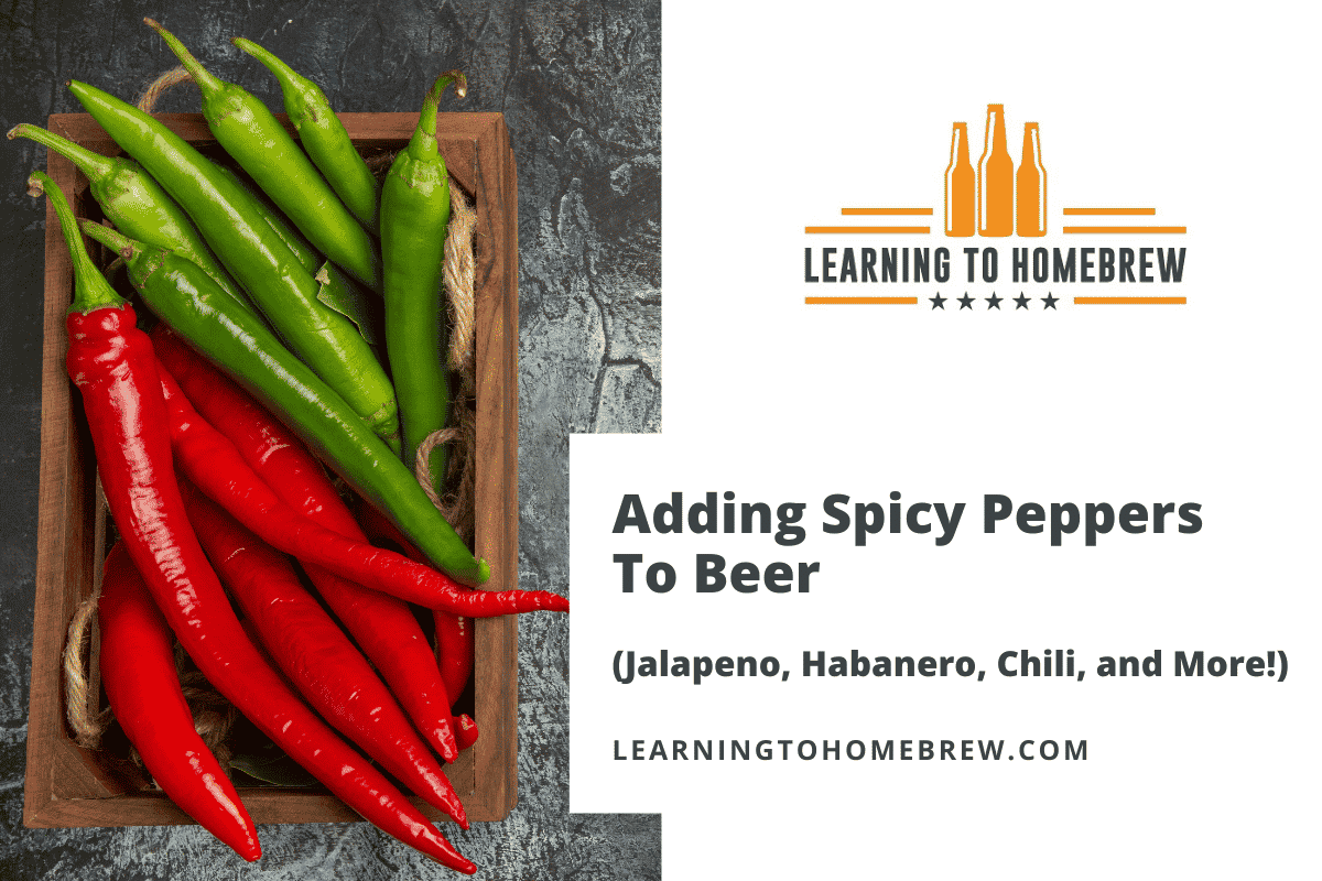 Adding Spicy Peppers To Beer (Jalapeno, Habanero, Chili, and More!)