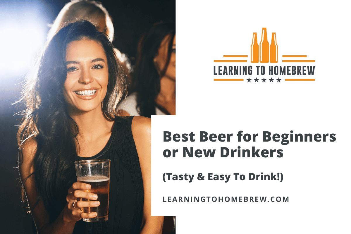 Best Beer for Beginners or New Drinkers (Tasty & Easy To Drink!)