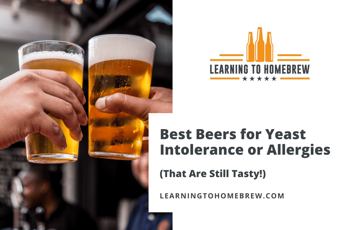 Best Beers for Yeast Intolerance or Allergies (That Are Still ...
