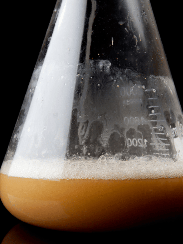 How To Make a Yeast Starter Without a Stir Plate (Proper Technique)