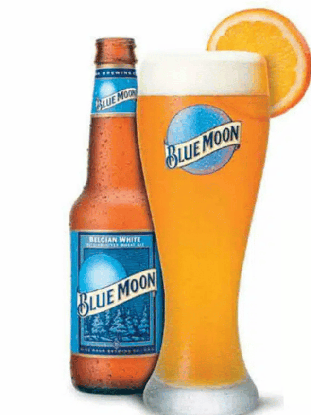 What Beer Is Similar To Blue Moon?