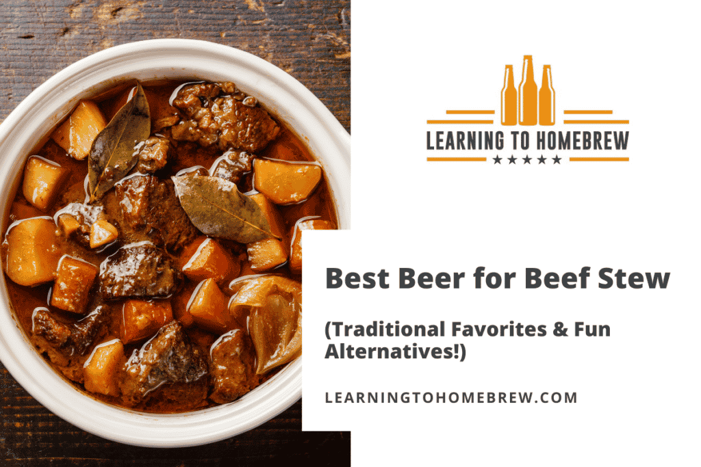 Best Beer for Beef Stew (Traditional Favorites & Fun Alternatives!)