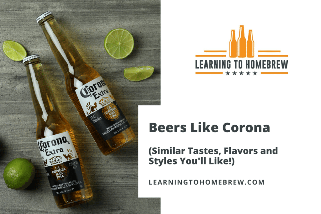 Beers Like Corona (Similar Tastes, Flavors and Styles You’ll Like!)