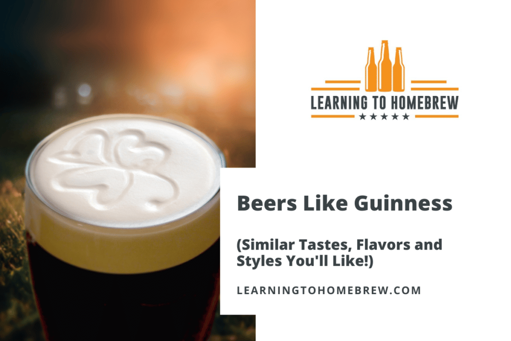 Beers Like Guinness (Similar Tastes, Flavors and Styles You’ll Like!)