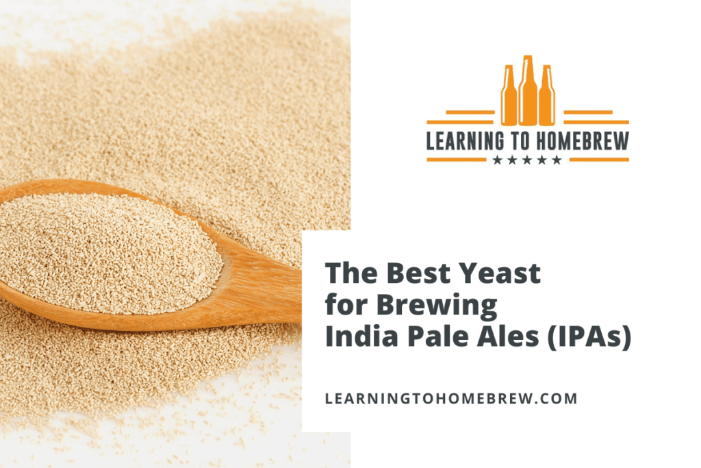 The Best Yeast for Brewing IPA (American, English, Imperial, & NEIPA)