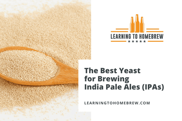 The Best Gluten Free IPA Beers To Try In 2023 And Still Delicious the-best-gluten-free-ipa-beers-to-try-in-2023-and-still-delicious