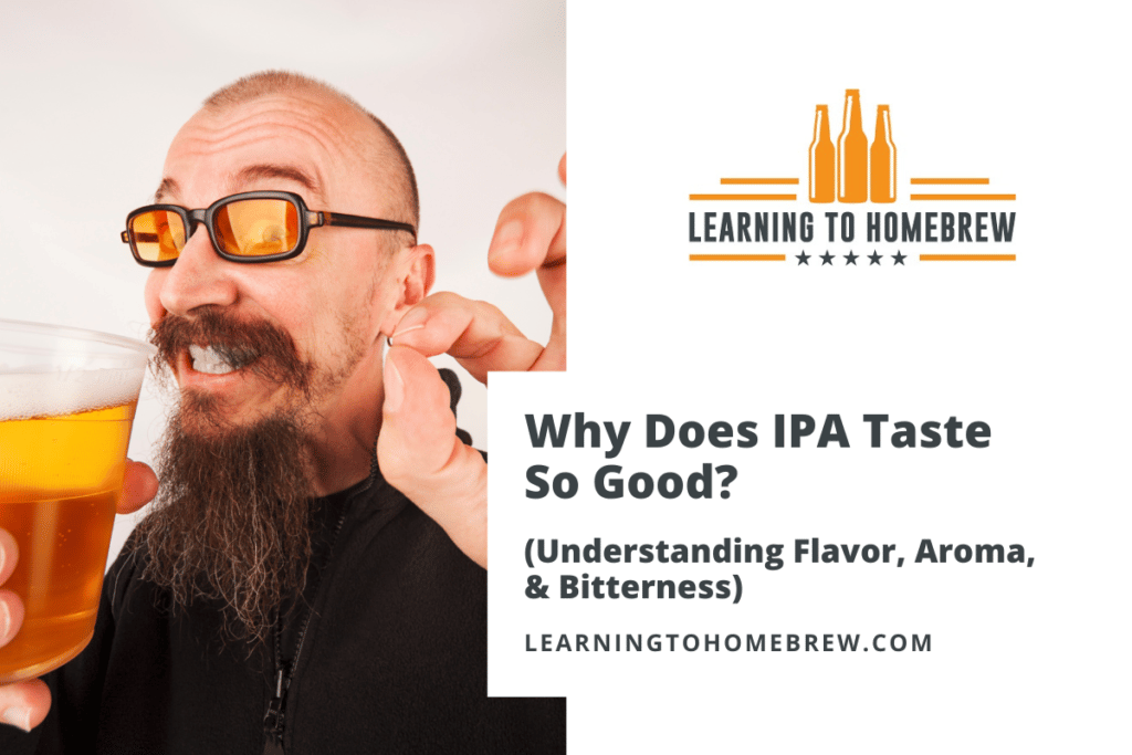 Why Does IPA Taste So Good? (Explaining Flavor, Aroma, & Bitterness)