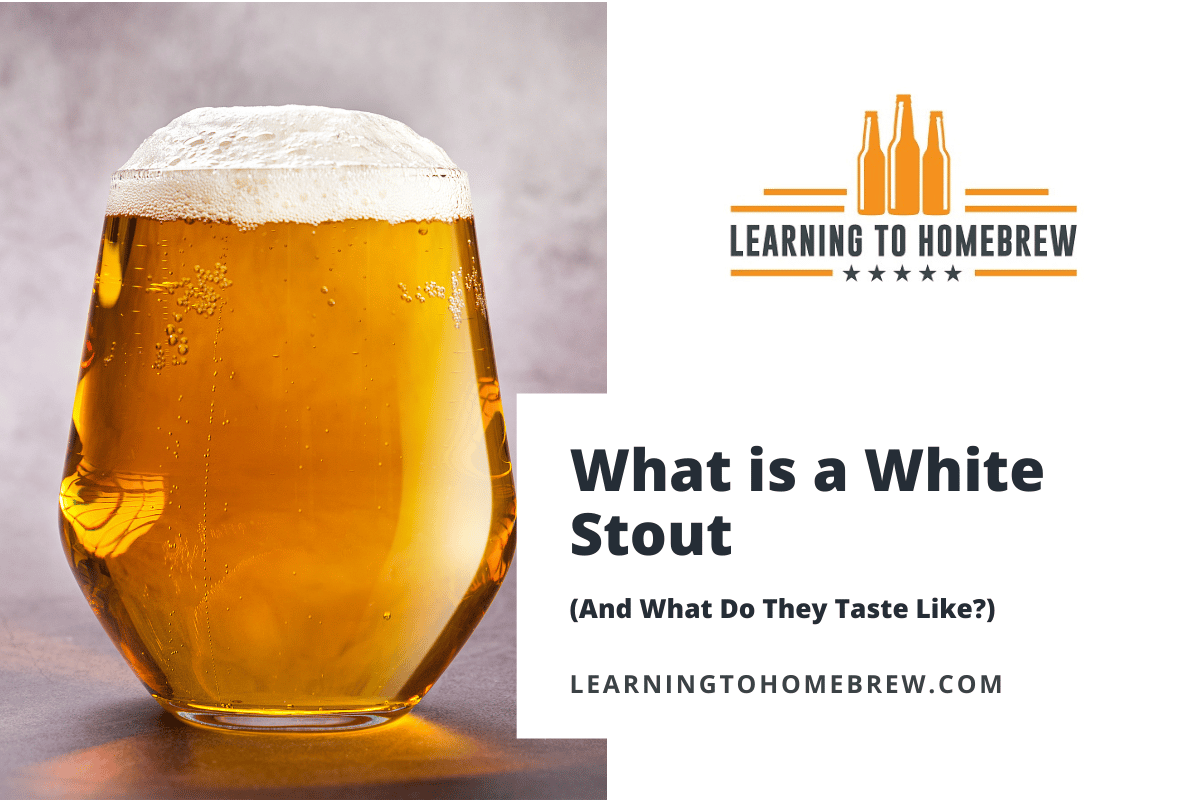 what-is-a-white-stout-and-what-do-they-taste-like