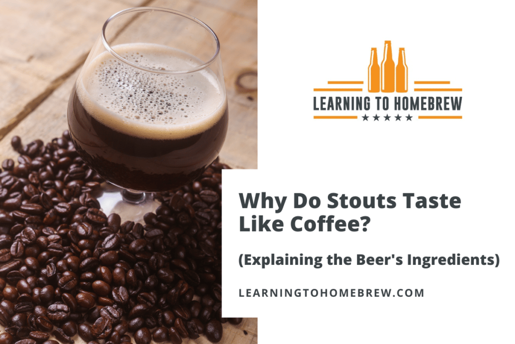 Why Do Stouts Taste Like Coffee? (Explaining the Beer’s Ingredients)