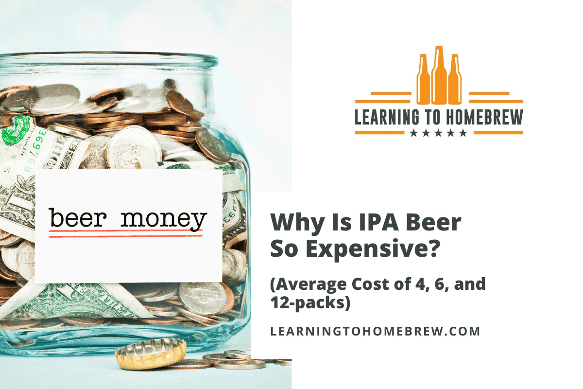 Why Is IPA Beer So Expensive? (Average Cost of 4, 6, and 12packs)