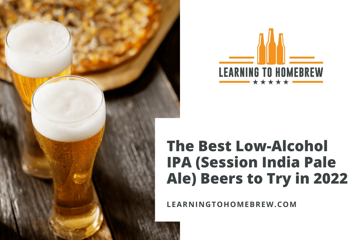 The Best LowAlcohol IPA (Session India Pale Ale) Beers to Try in 2023